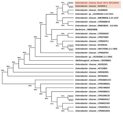 Exploring the mechanisms of endophytic bacteria for suppressing early blight disease in tomato (Solanum lycopersicum L.)